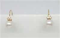 Boucles d'oreilles Lorenza Gioielli Femme Collezione Perle in Or Perla OR679612 - OR679612